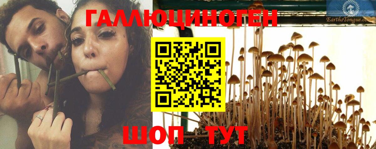 Псилоцибиновые грибы MAGIC MUSHROOMS  Вход с VPN  Россошь 
