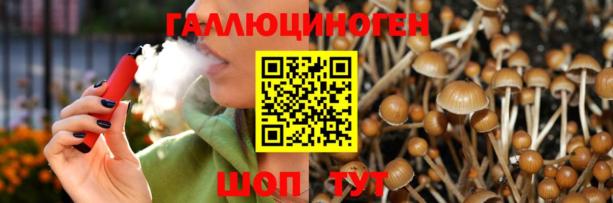 Псилоцибиновые грибы Magic Shrooms Россошь