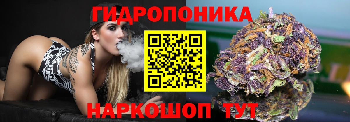 Канабис семена Россошь